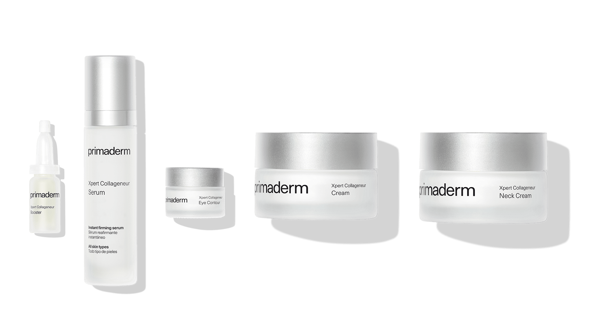 Bodegón Xpert Collageneur